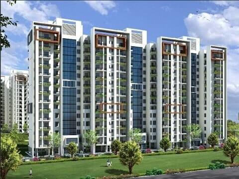 Motia Group Zirakpur